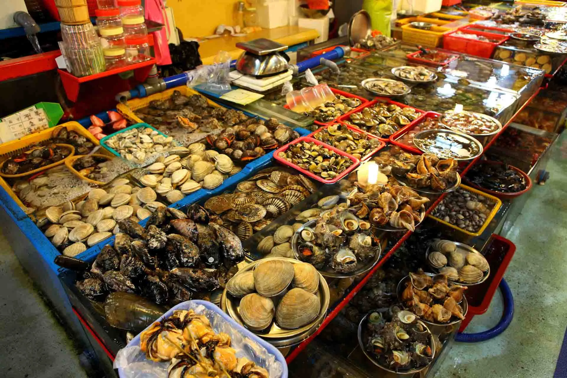 Skalldyrboder på Jagalchi fiskemarked i Busan Skalldyrboder på Jagalchi fiskemarked i Busan