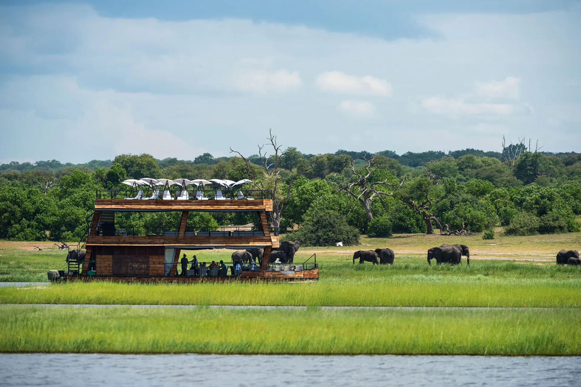 Fra båten studeres de beitende elefantene på bredden Fra båten studeres de beitende elefantene på bredden