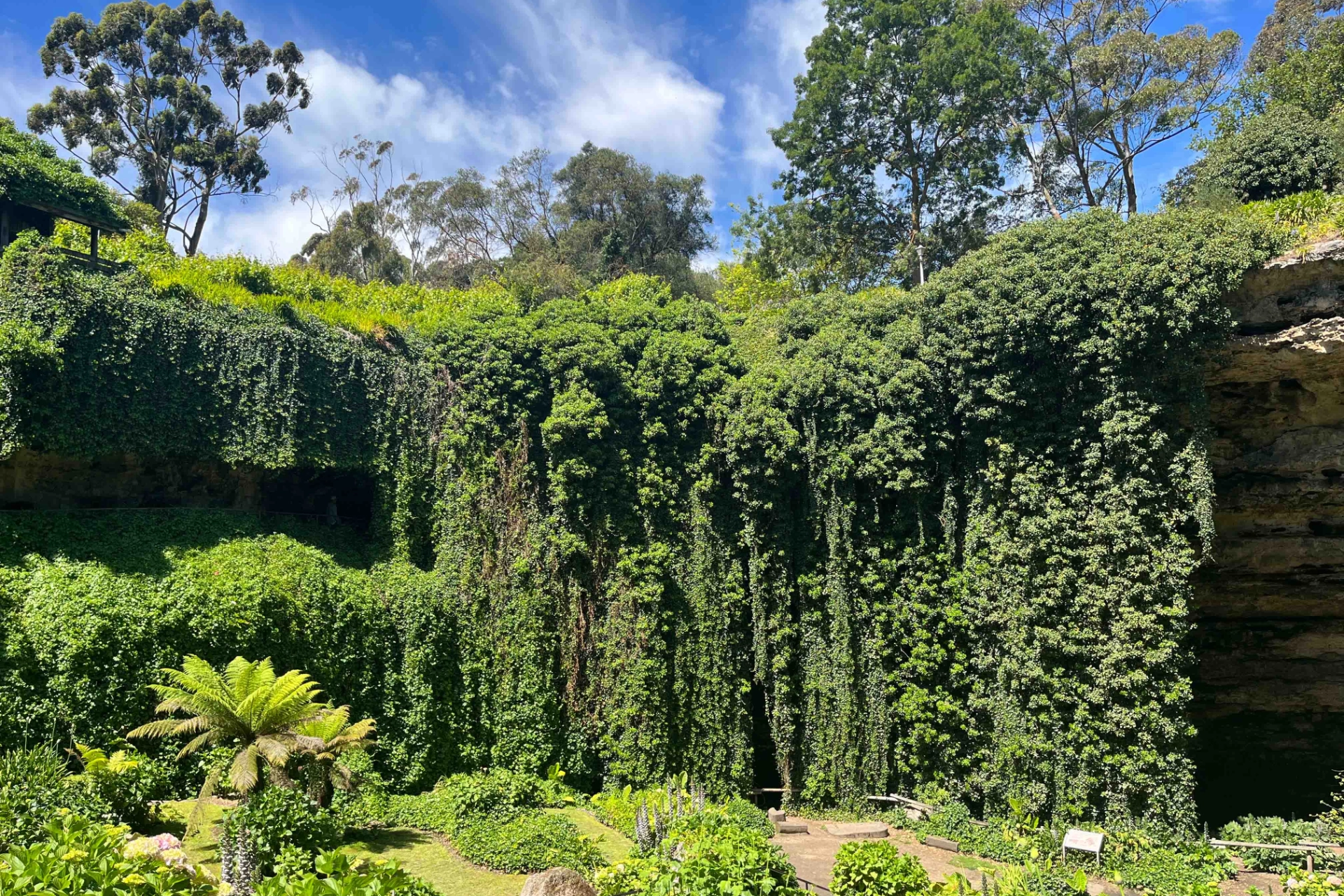Umpherston Sinkhole, også kjent som Sunken Garden, i Mount Gambier