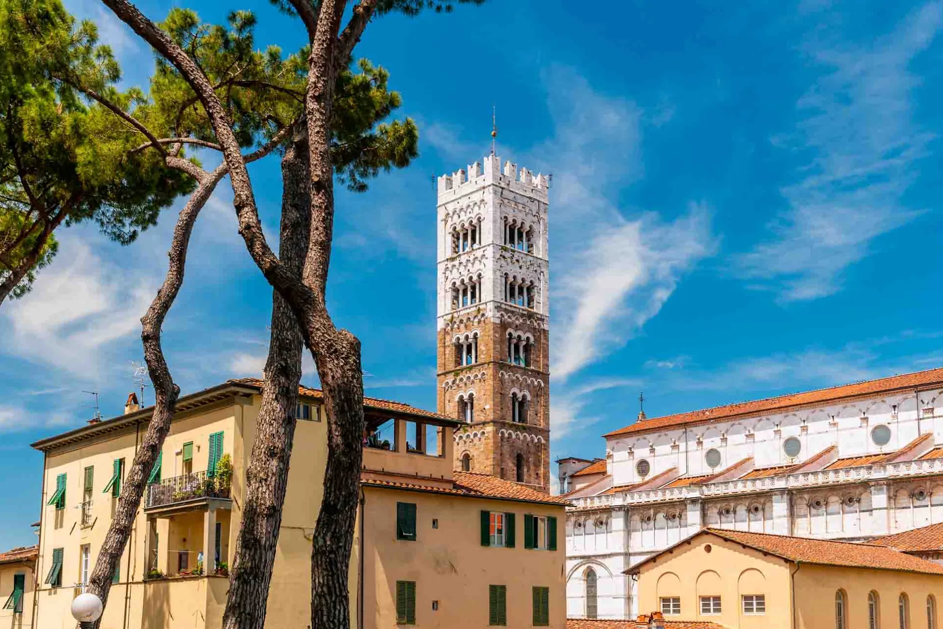 Domkirken San Martino i Lucca med klokketårn