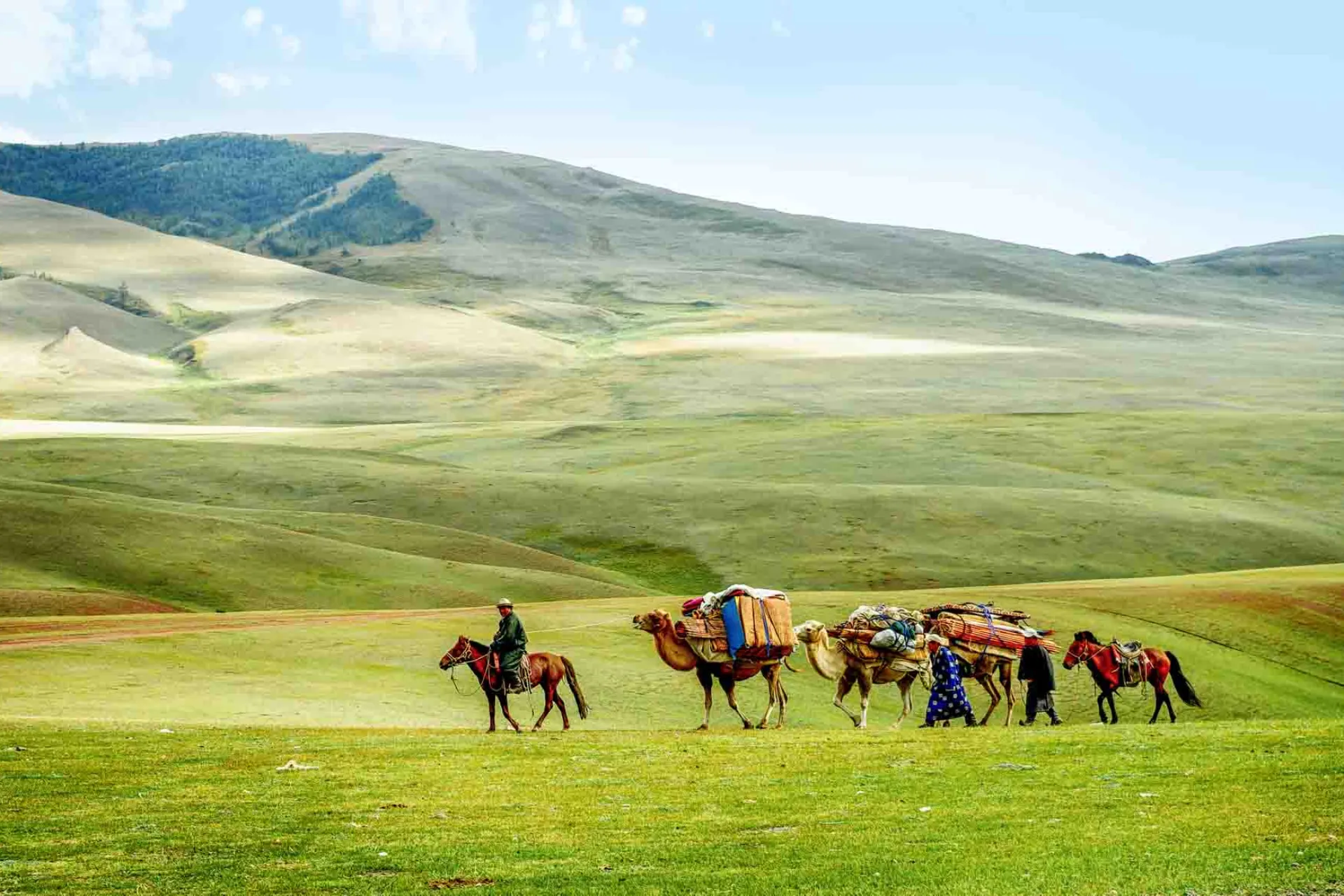 Kamelkaravane på den mongolske steppen Kamelkaravane på den mongolske steppen