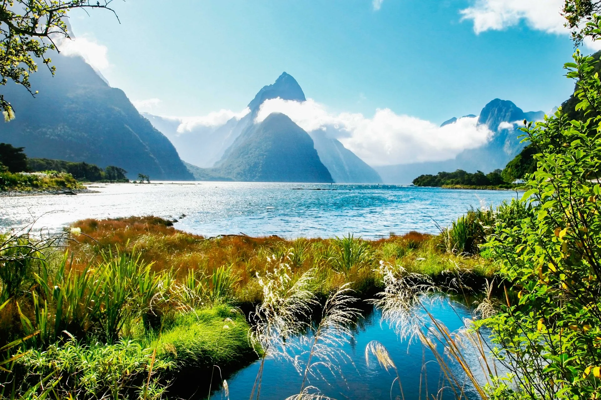 Milford Sound i Fiordland nasjonalpark med Mitre Peak i bakgrunnen Milford Sound i Fiordland nasjonalpark med Mitre Peak i bakgrunnen