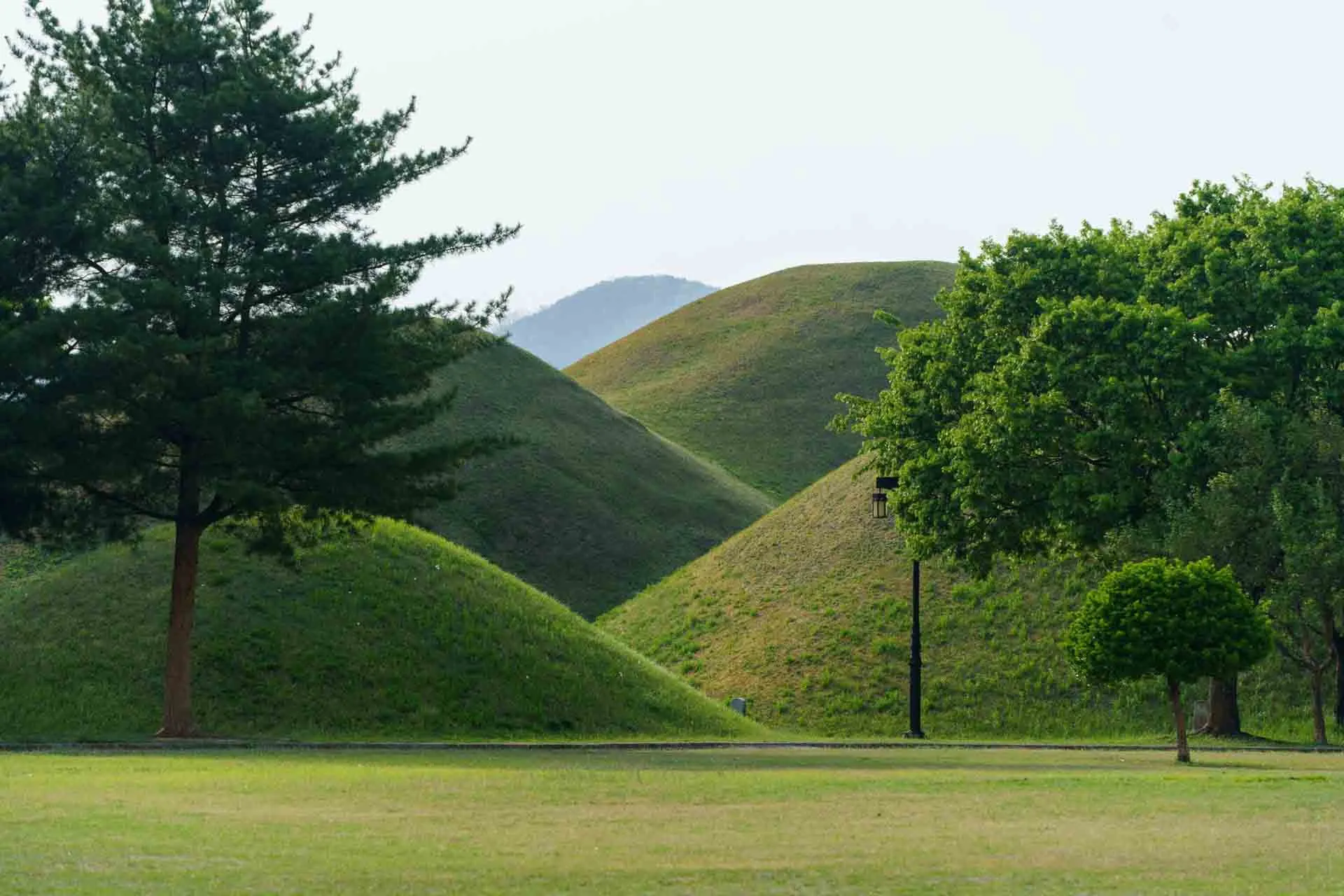 De imponerende gresskledde gravhaugene i Daereungwon gravkompleks i Gyeongju De imponerende gresskledde gravhaugene i Daereungwon gravkompleks i Gyeongju