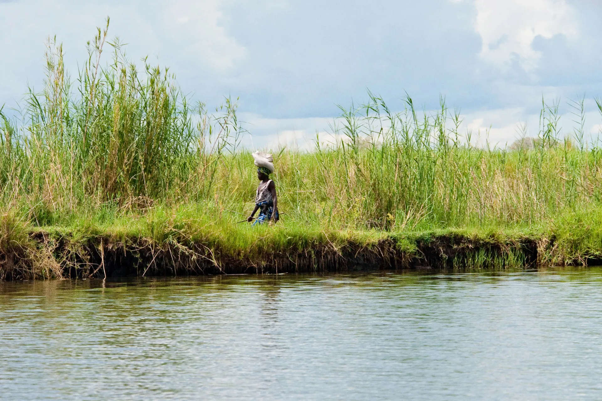 Kvinne ved elvebredden bærer en sekk på hodet gjennom det høye gresset Kvinne ved elvebredden bærer en sekk på hodet gjennom det høye gresset