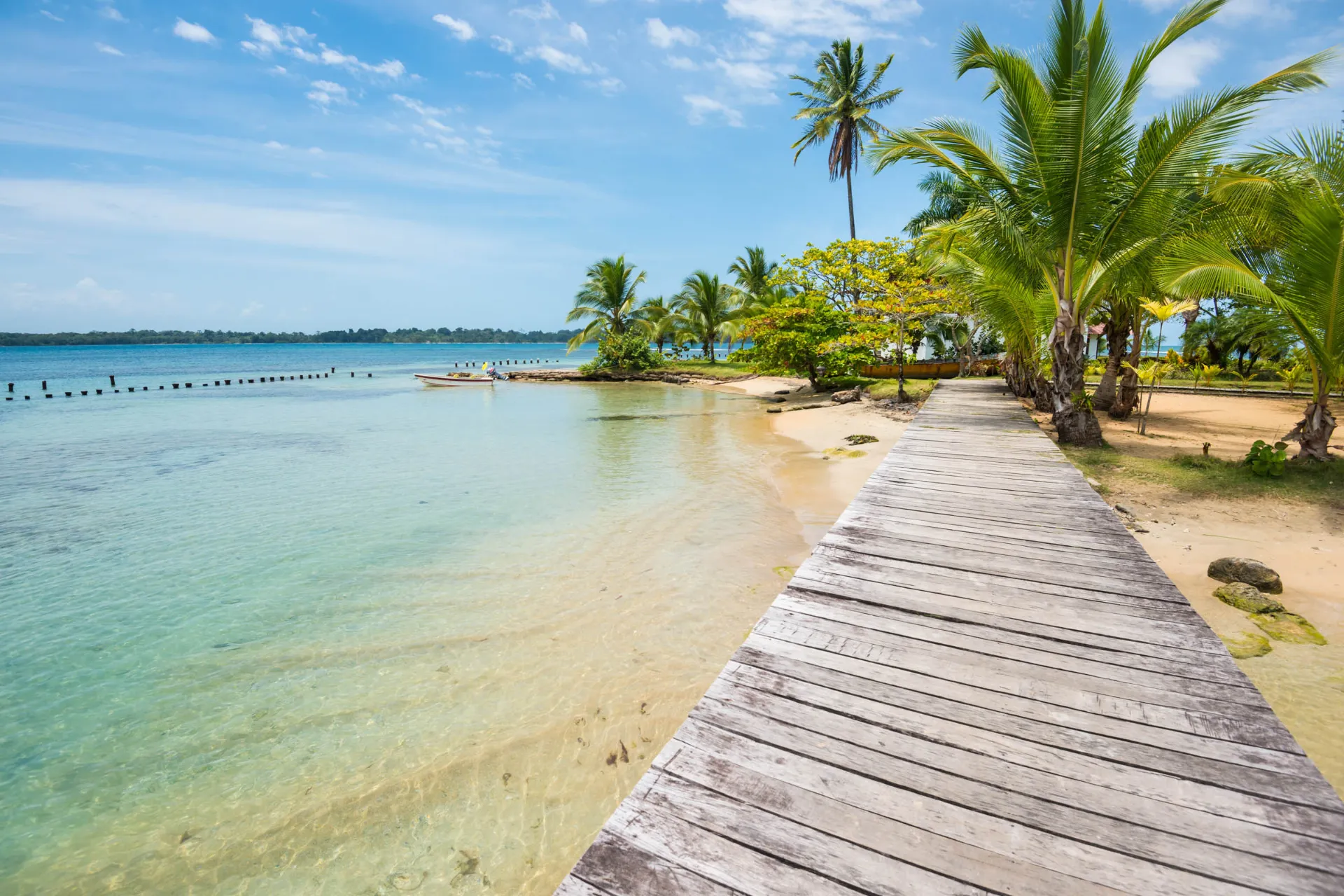 Strand ved Bocas del Toro i Panama Strand ved Bocas del Toro i Panama