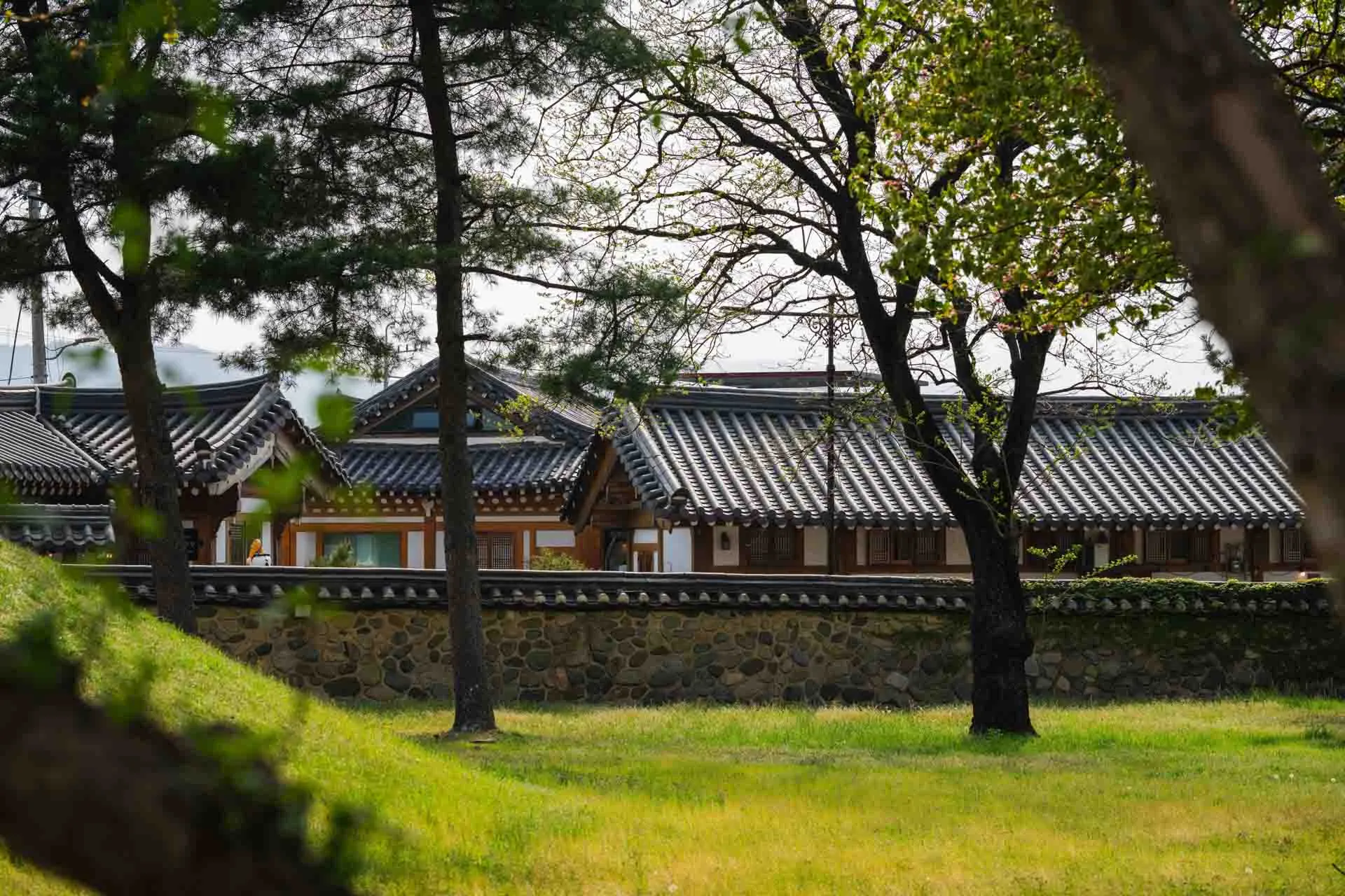 Gravkomplekset Daereungwon i Gyeongju Gravkomplekset Daereungwon i Gyeongju