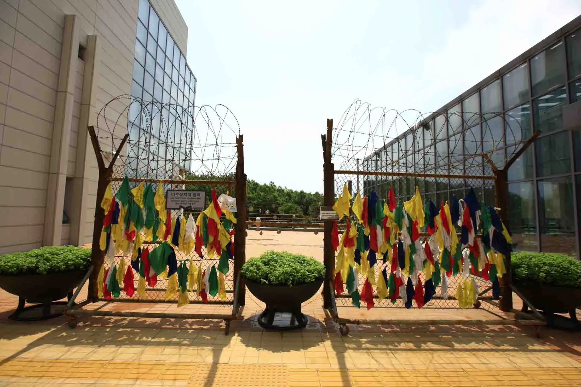 DMZ – fargerike bånd hengt på gjerdet symboliserer ønsker om fred og gjenforening mellom Nord- og Sør-Korea DMZ – fargerike bånd hengt på gjerdet symboliserer ønsker om fred og gjenforening mellom Nord- og Sør-Korea