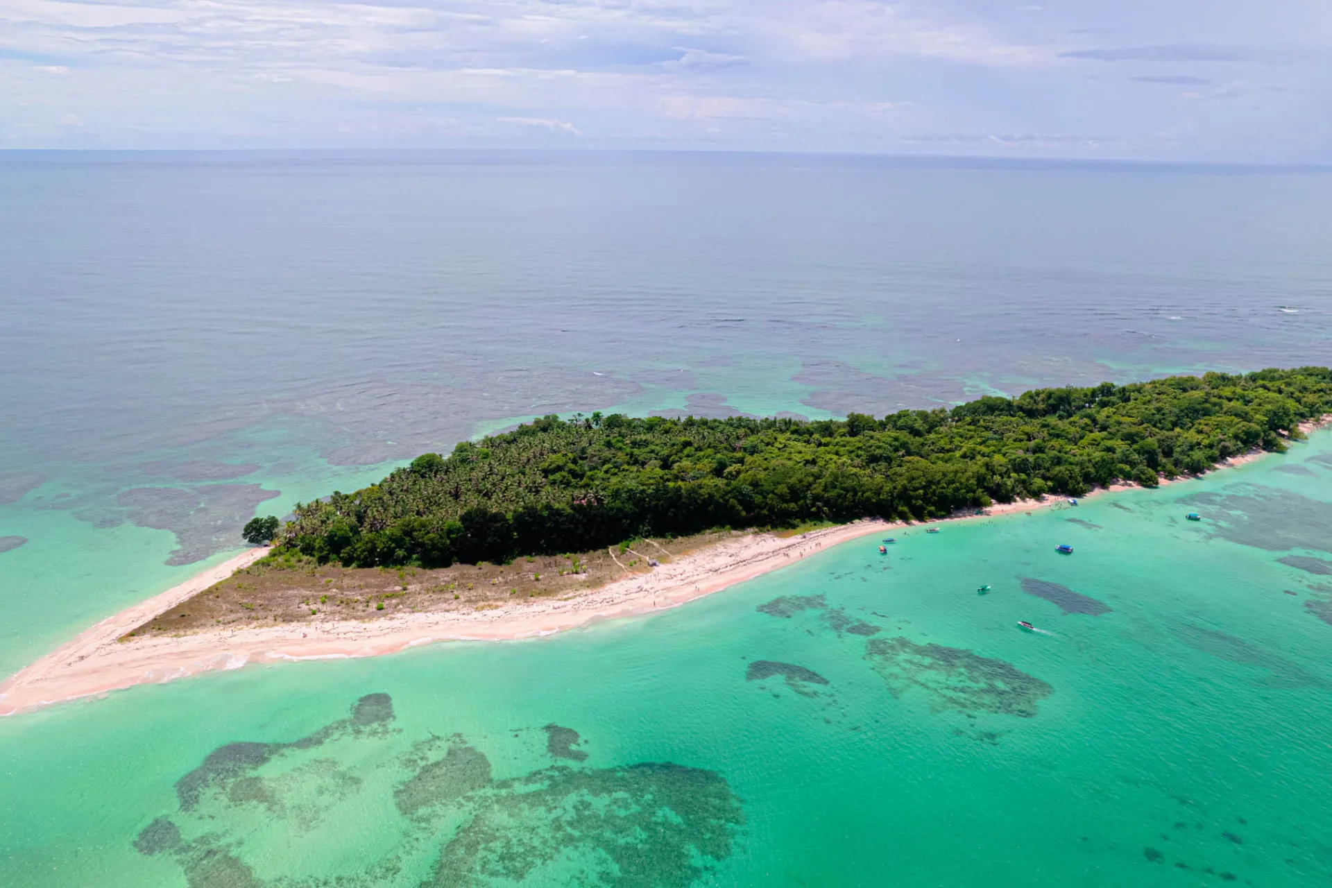 Luftfoto av Bird Island Luftfoto av Bird Island