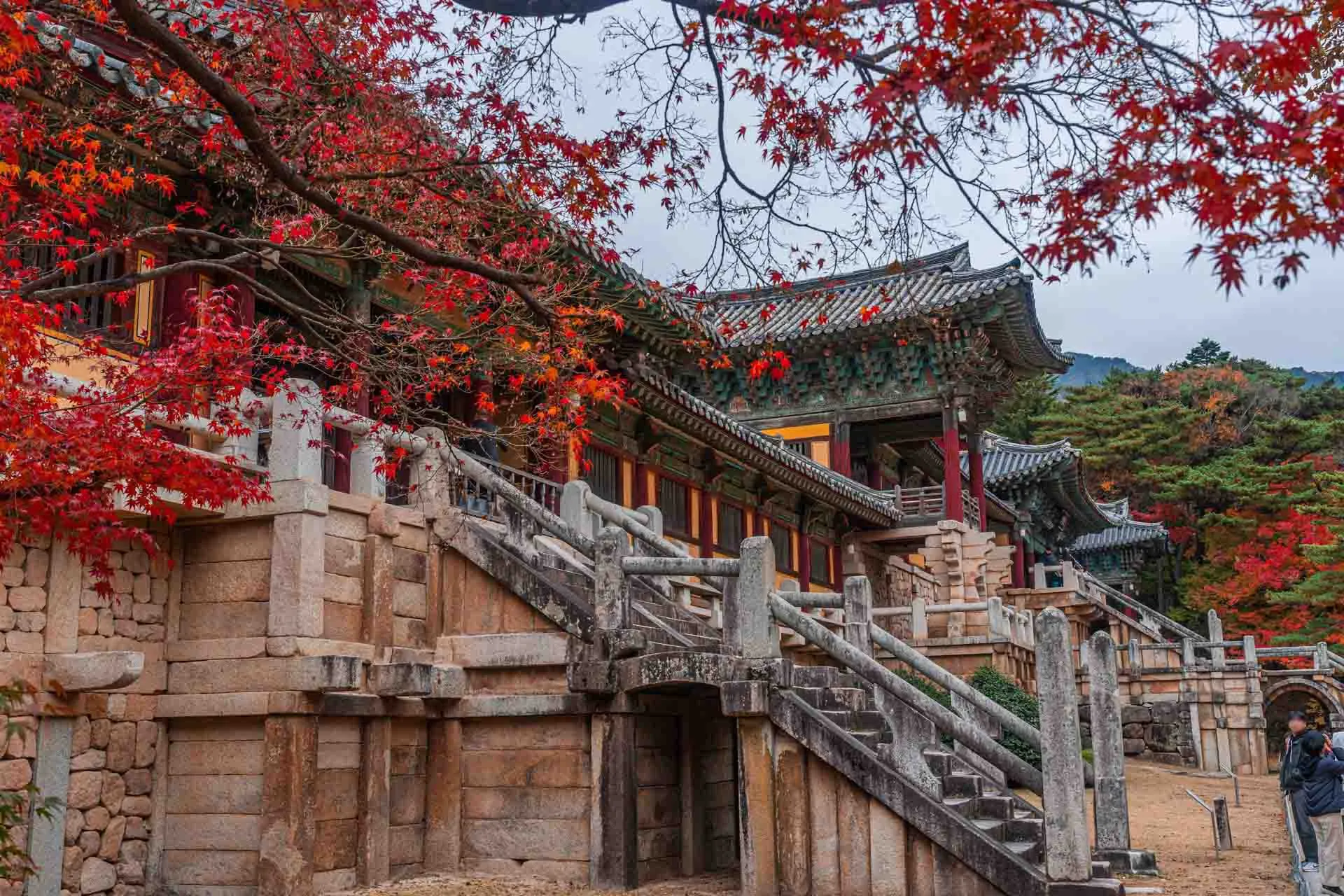 Bulguksa-tempelet – med sine historiske pagoder Bulguksa-tempelet – med sine historiske pagoder