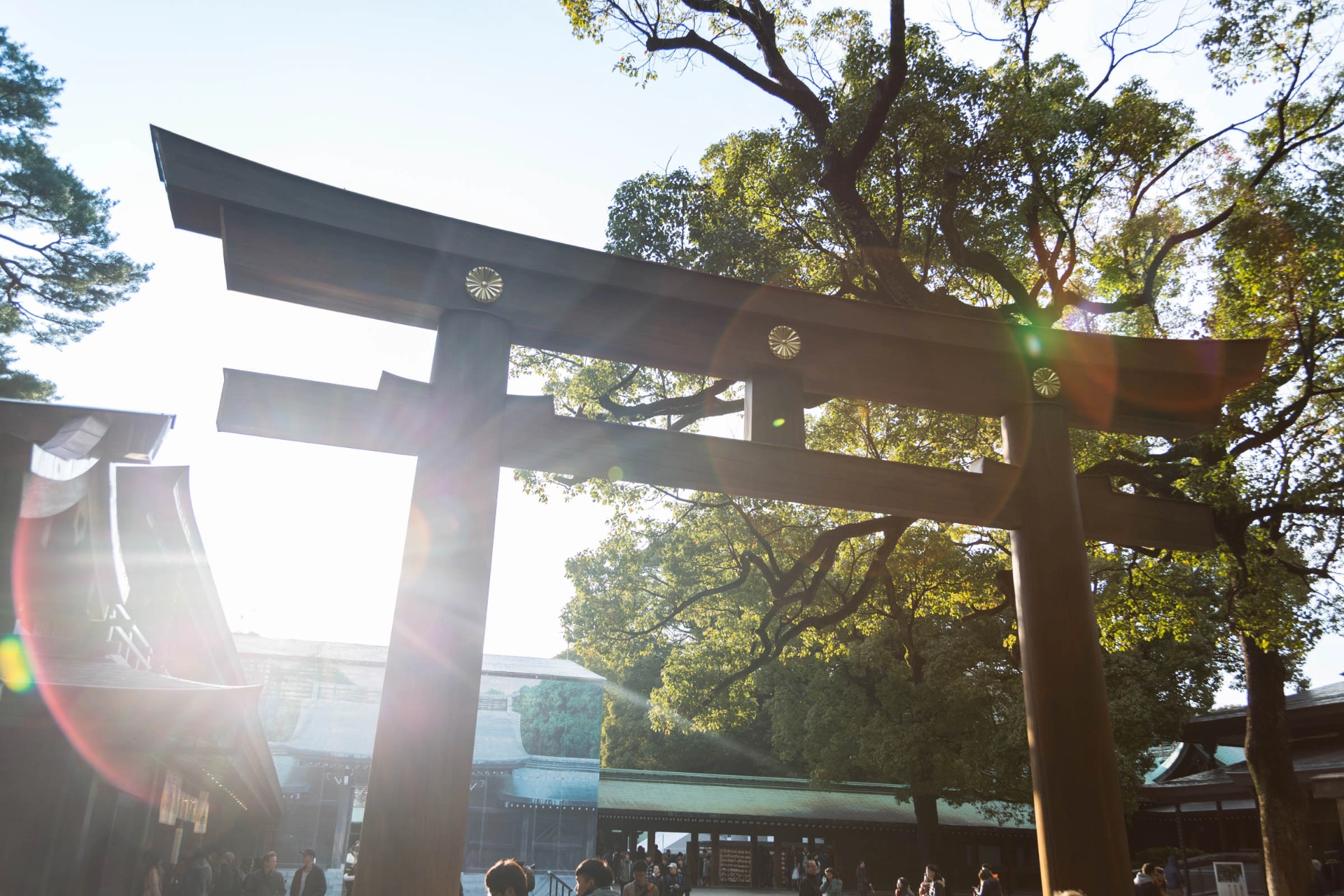 Shinto-helligdommen Meiji Jingu