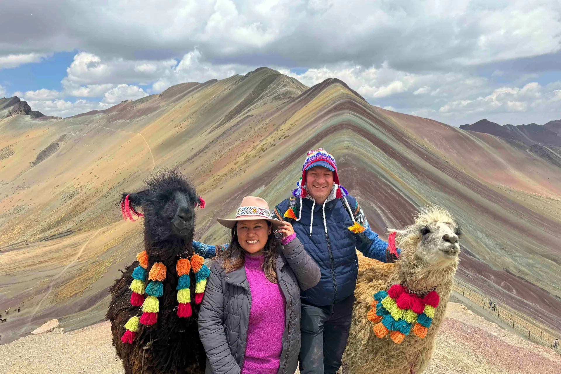 Pyntede lamaer ved fargerike Rainbow Mountain