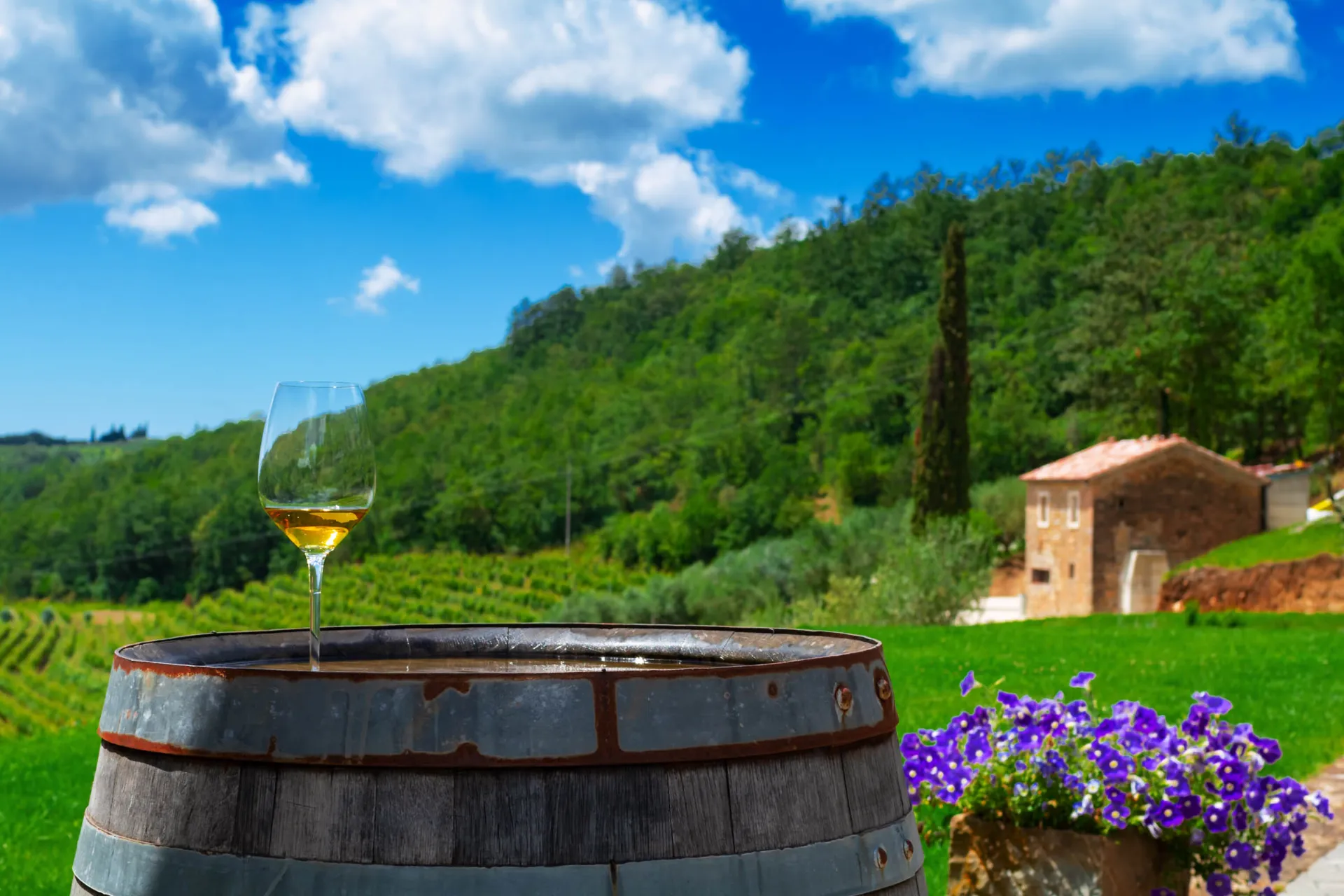 Dalmatia – vinmarker, sol og tradisjon Dalmatia – vinmarker, sol og tradisjon