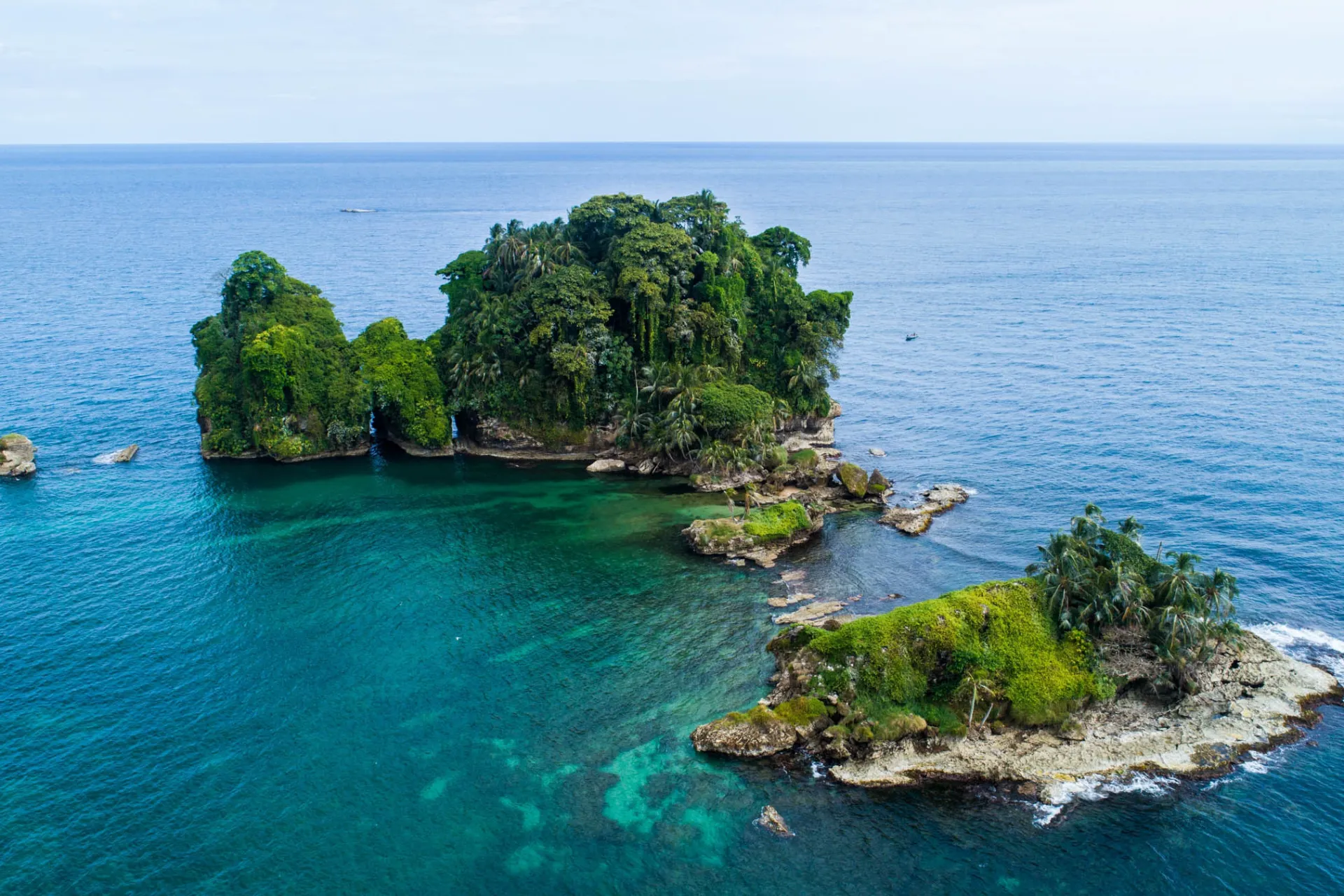 Bird Island ved Bocas del Toro har et rikt fugleliv Bird Island ved Bocas del Toro har et rikt fugleliv