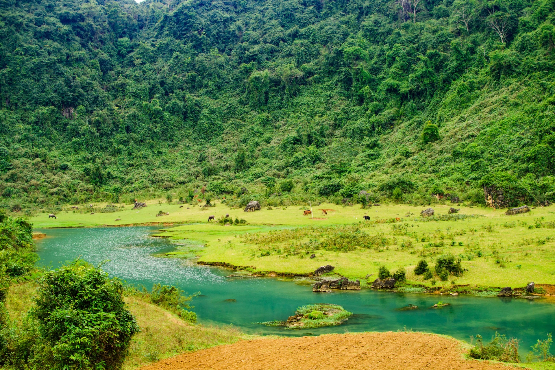 Phoung Nha nasjonalpark