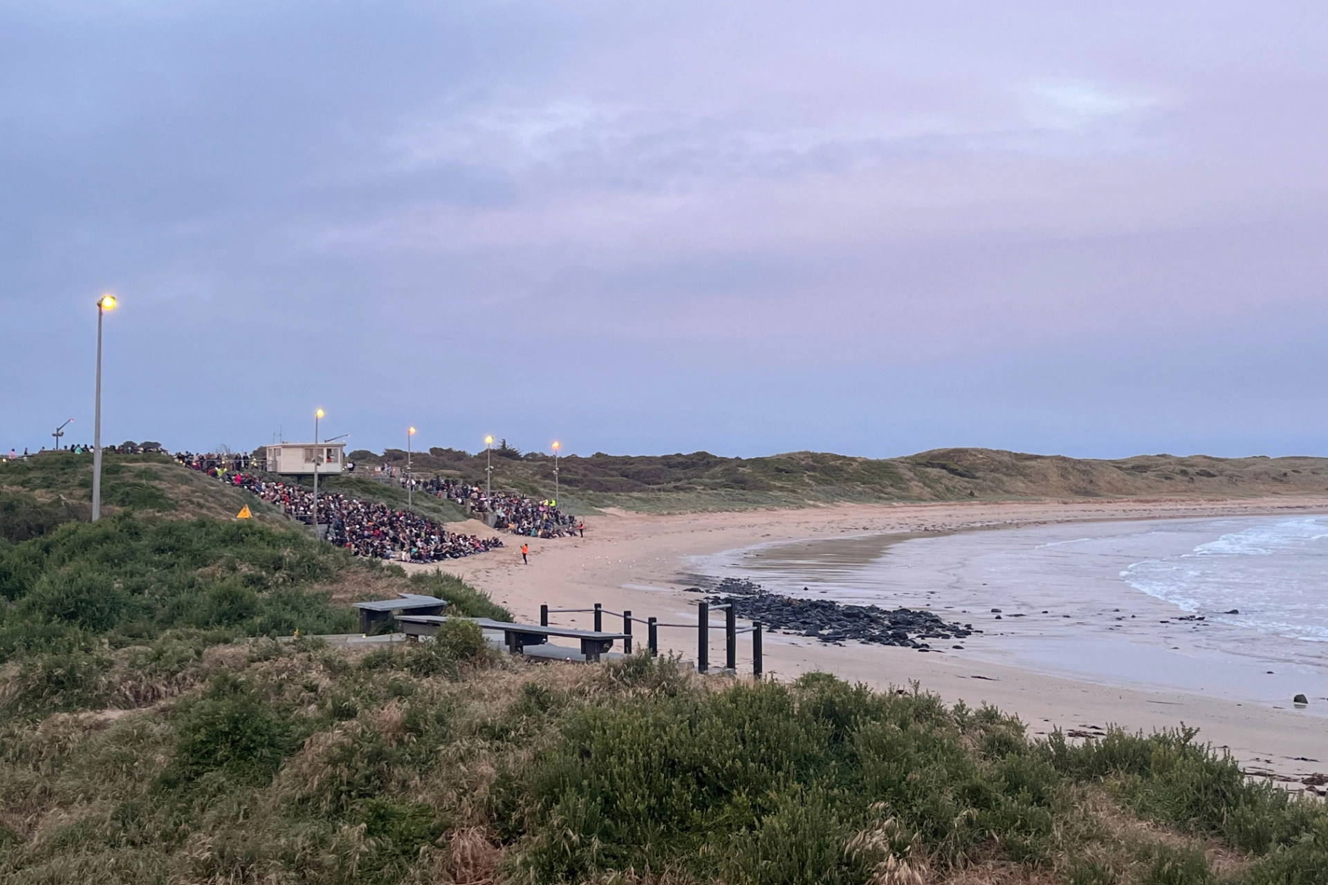 Dvergpinguinene vender tilbake til Phillip Island ved solnedgang