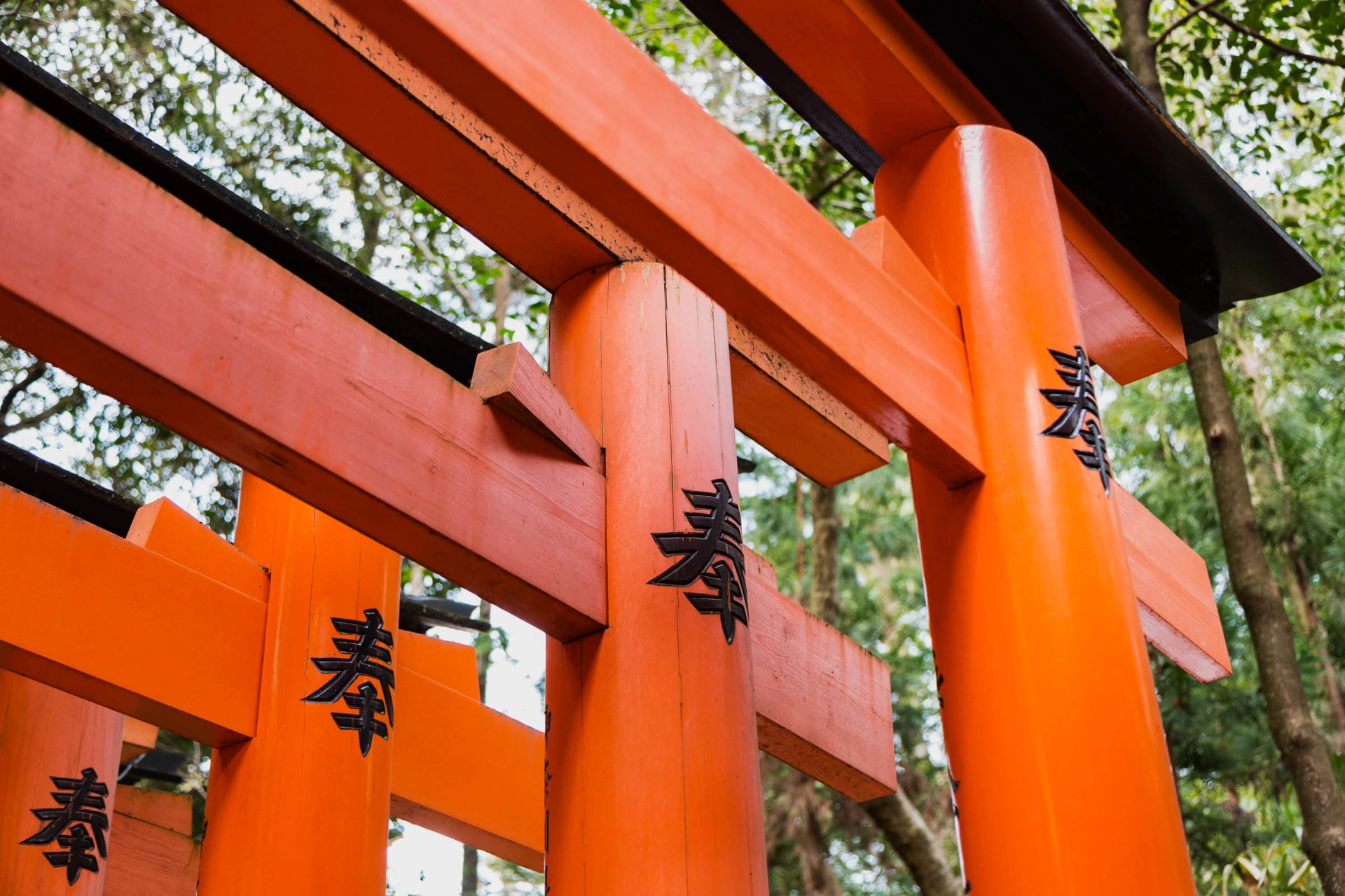Torii-porter utgjør ofte inngangen til Shinto-helligdommer