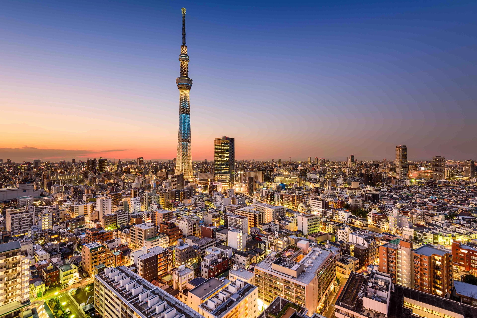 Panoramautsikt over Tokyo med det ikoniske Tokyo Skytree som sentrum