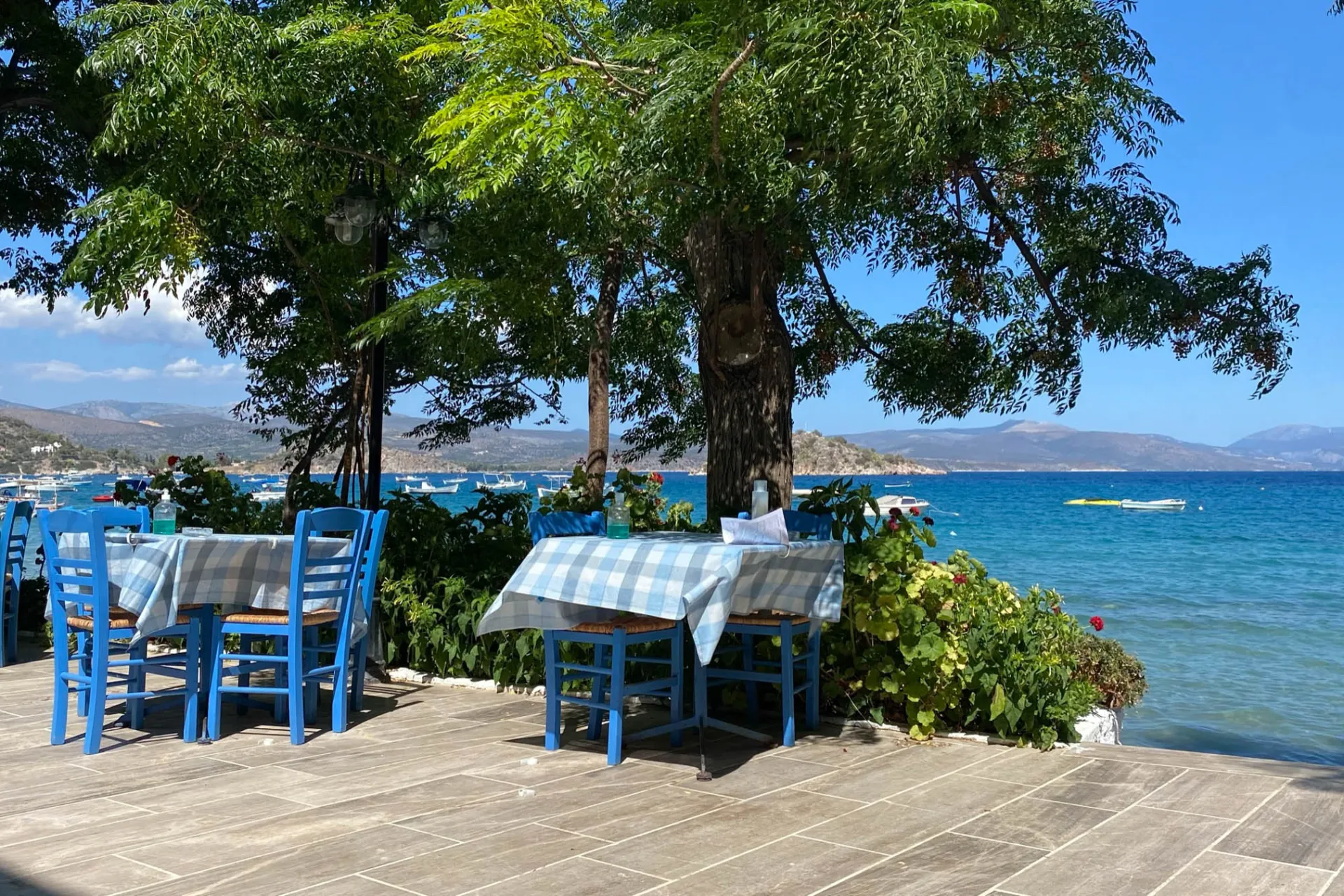 Typisk taverna ved havet Typisk taverna ved havet