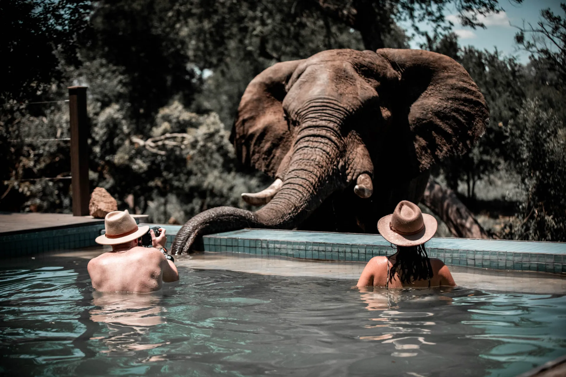 Kommer man nærmere enn dette? Kommer man nærmere enn dette?