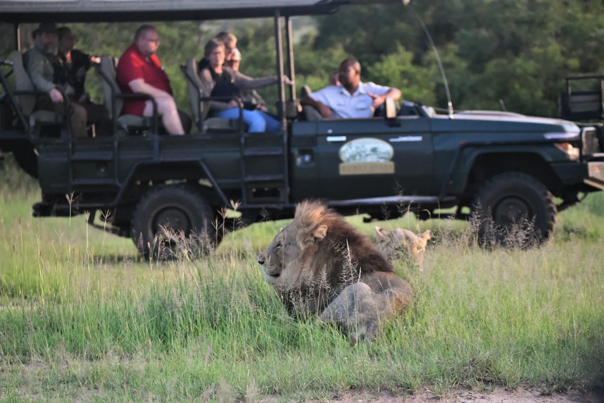 På safari i åpen jeep På safari i åpen jeep