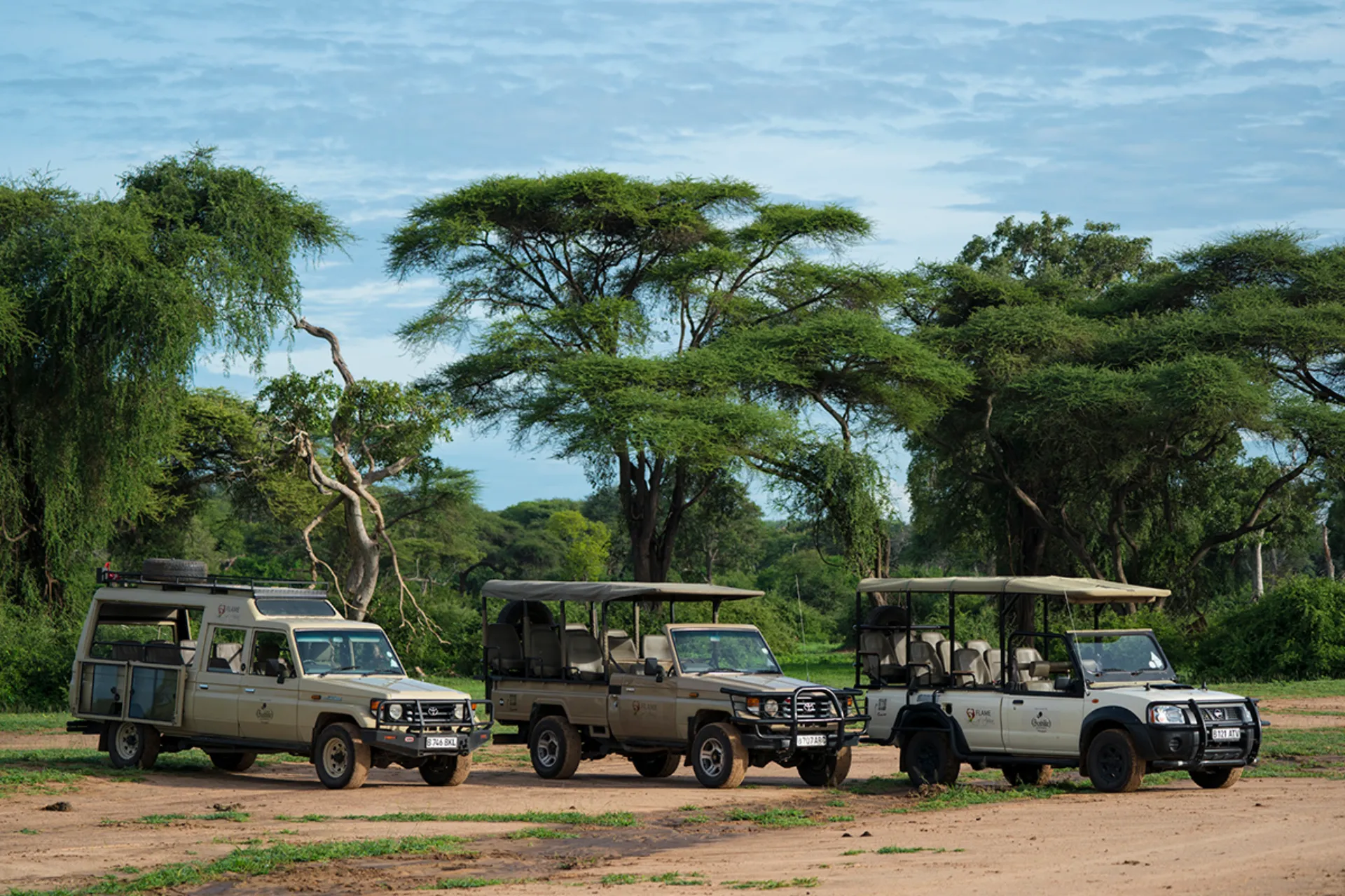 Safarijeepene står klare Safarijeepene står klare