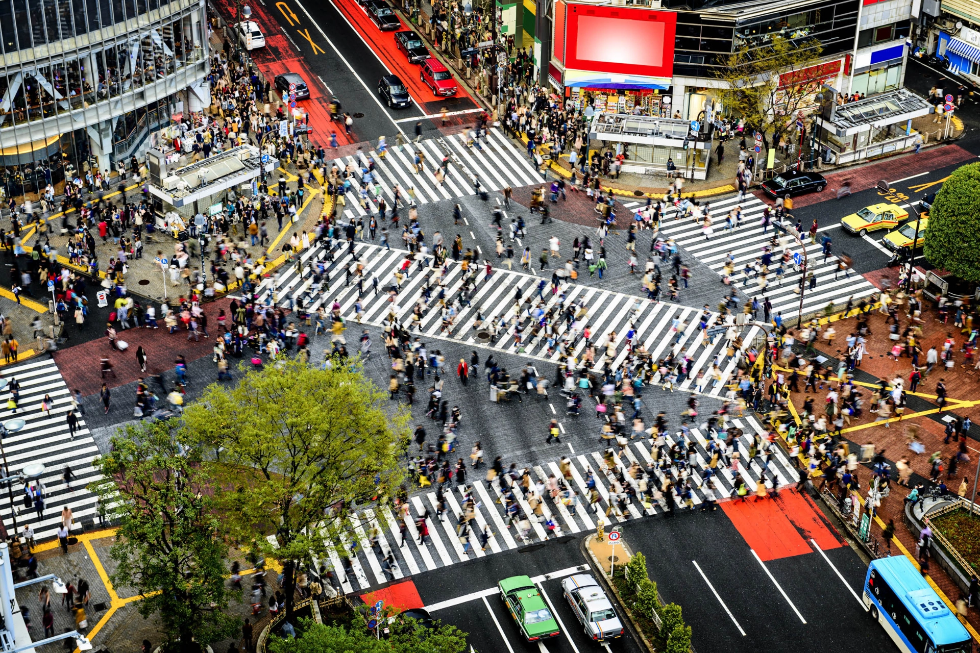 Den berømte fotgjengerovergangen i Shibuya-distriktet