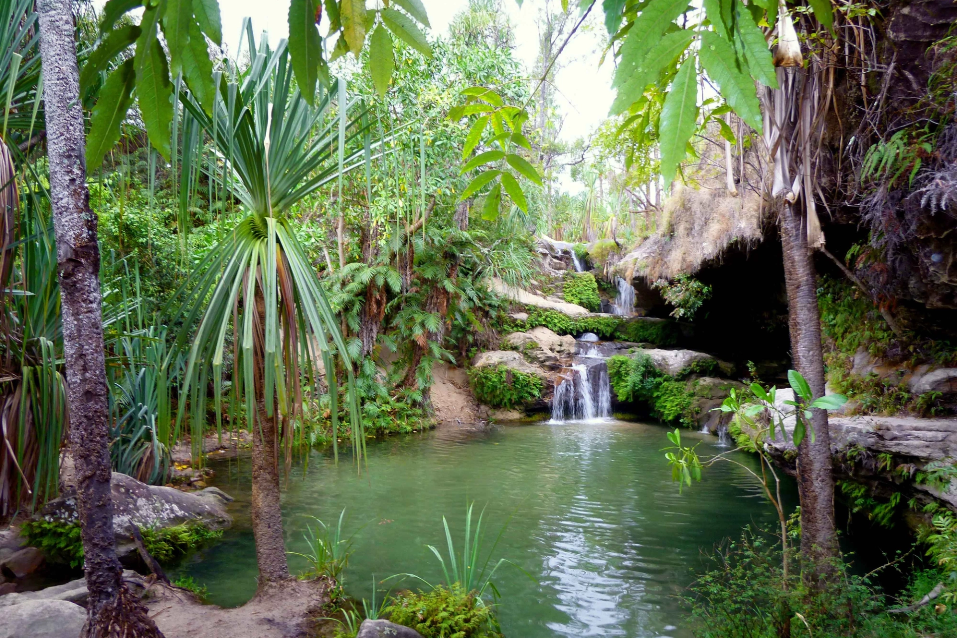 Oase, Madagaskar