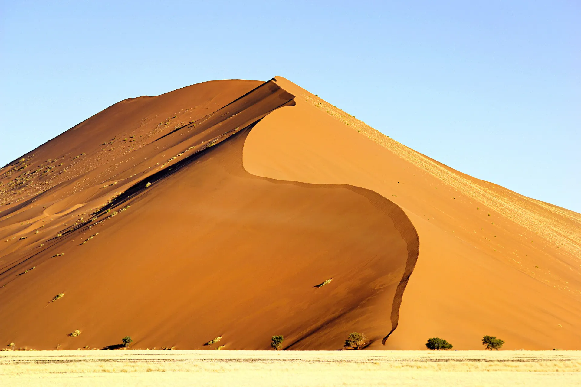 En av Sossusvleis ikoniske røde sanddyner reiser seg majestetisk mot himmelen