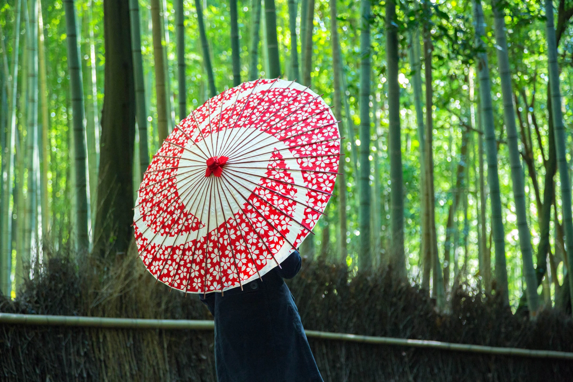 Bambusskog i Arashiyama
