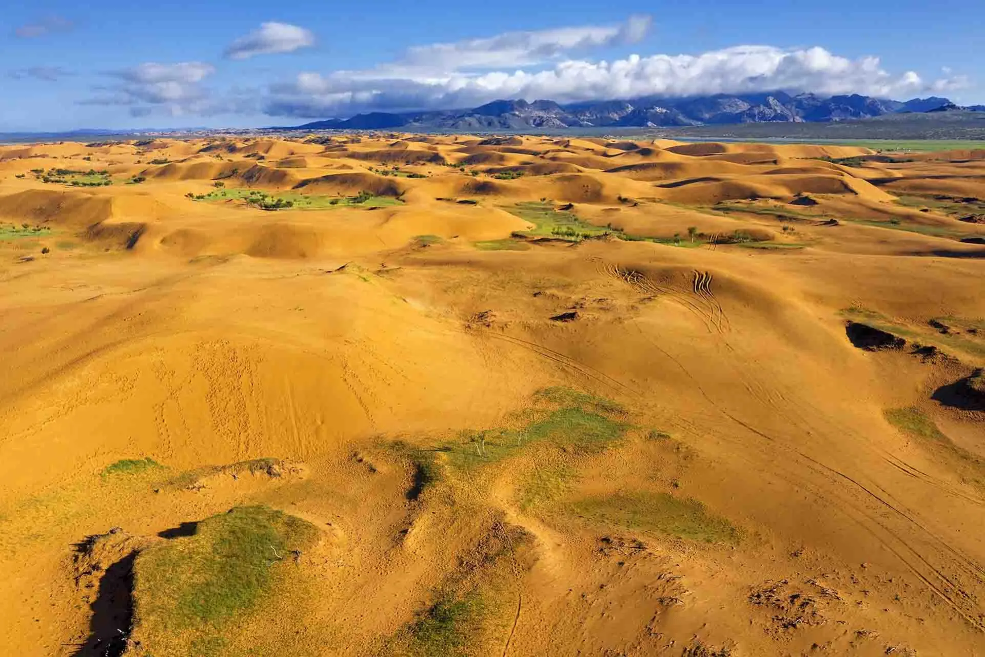 Elsen Tasarkhai-sanddynene i Mongolia – kjent som 'Mini-Gobi' med en blanding av ørken og steppe Elsen Tasarkhai-sanddynene i Mongolia – kjent som 'Mini-Gobi' med en blanding av ørken og steppe