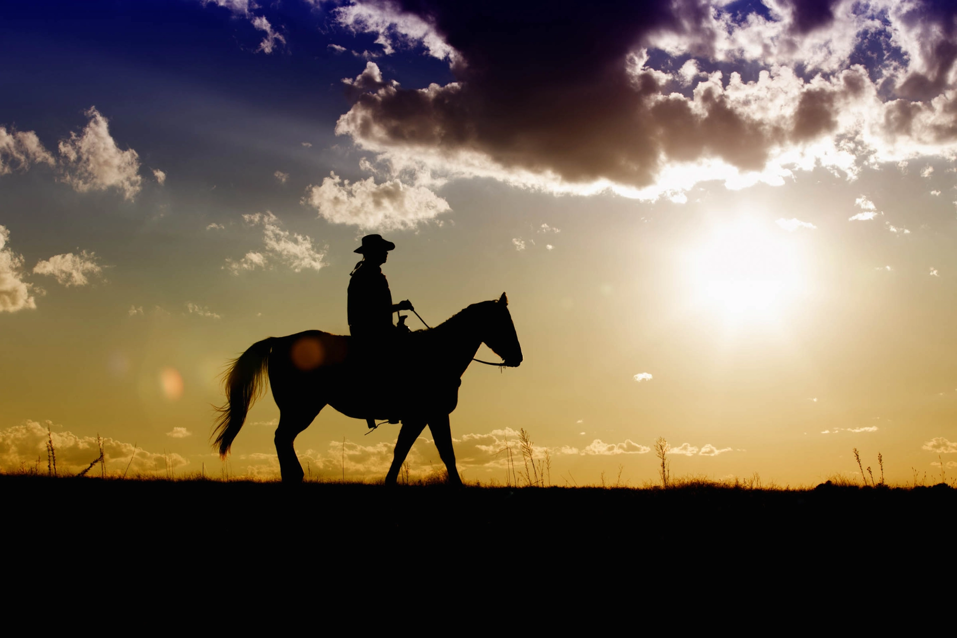 Ensom cowboy