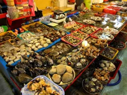 Skalldyrboder på Jagalchi fiskemarked i Busan Skalldyrboder på Jagalchi fiskemarked i Busan