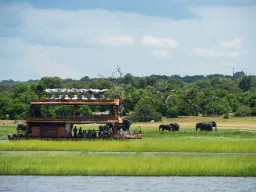 Fra båten studeres de beitende elefantene på bredden