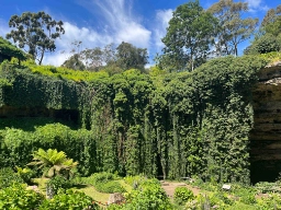 Umpherston Sinkhole, også kjent som Sunken Garden, i Mount Gambier