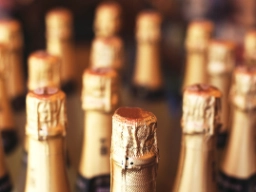 Champagne flasker