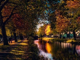 Høststemning ved kanal i Dublin