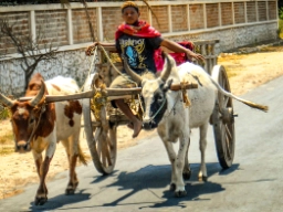 Isalo nasjonalpark, Madagaskar