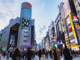 Fotgjengerfelt i Tokyos Shibuya-distrikt