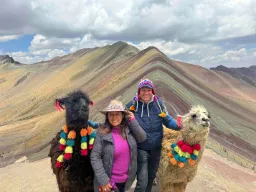 Pyntede lamaer ved fargerike Rainbow Mountain