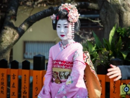 Gion er Kyotos mest kjente geisha-distrikt