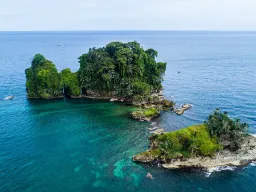 Bird Island ved Bocas del Toro har et rikt fugleliv Bird Island ved Bocas del Toro har et rikt fugleliv