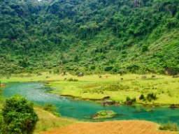Phoung Nha nasjonalpark