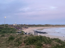 Dvergpinguinene vender tilbake til Phillip Island ved solnedgang