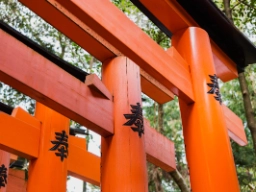 Torii-porter utgjør ofte inngangen til Shinto-helligdommer