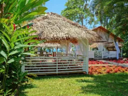 Tropisk strandrestaurantområde i Puerto Viejo Tropisk strandrestaurantområde i Puerto Viejo