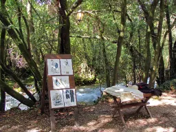 Vannmøllen ved elven Ljuta i Konavle – hvor naturens skjønnhet møter gamle tradisjoner Vannmøllen ved elven Ljuta i Konavle – hvor naturens skjønnhet møter gamle tradisjoner