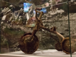 Detalj fra Hiroshimas fredsmuseum