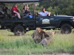 På safari i åpen jeep På safari i åpen jeep