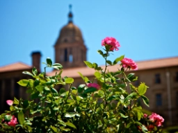 Union Buildings i Pretoria