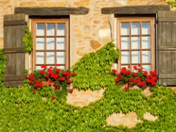 Vinduer i Bourgogne 